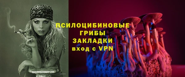кокс Алексин