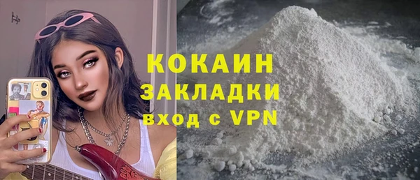 кокс Алексин