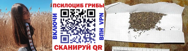 цены наркотик  Байкальск  Псилоцибиновые грибы мицелий 